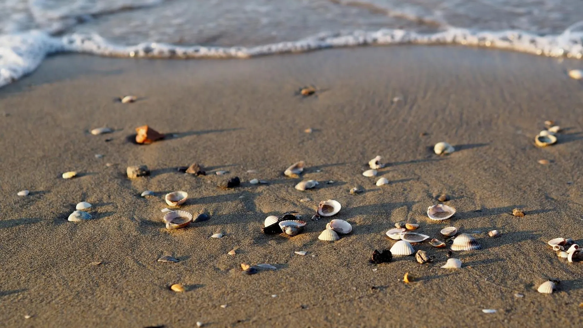 Cozy Family Escape - Beahost Apartment Bibione 0*,  Italy